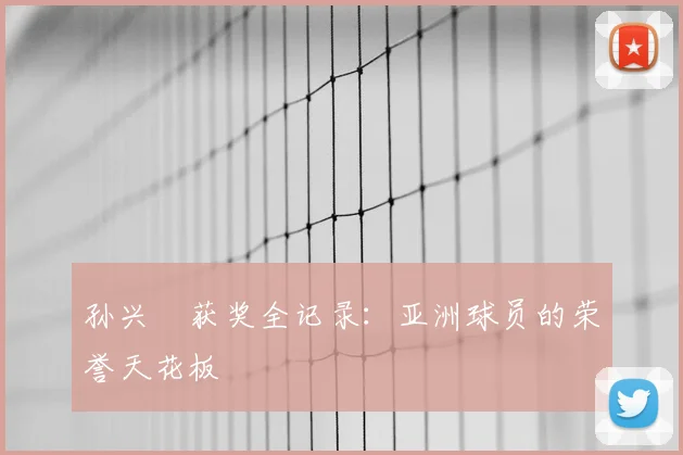 孙兴慜获奖全记录：亚洲球员的荣誉天花板