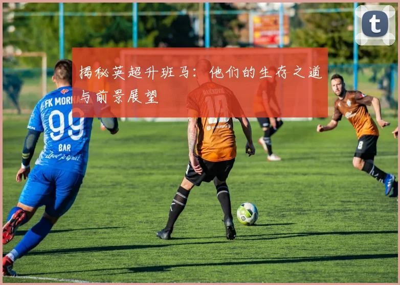 揭秘英超升班马：他们的生存之道与前景展望