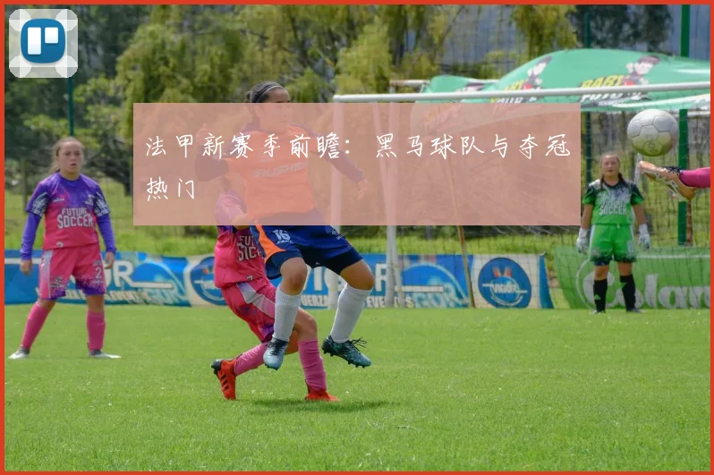 法甲新赛季前瞻：黑马球队与夺冠热门