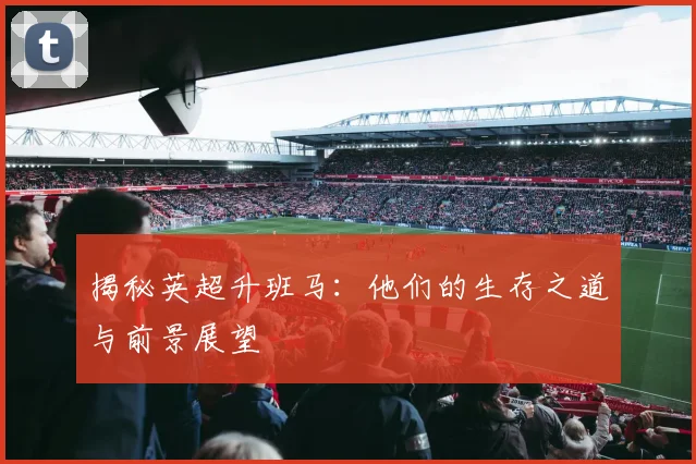 揭秘英超升班马：他们的生存之道与前景展望