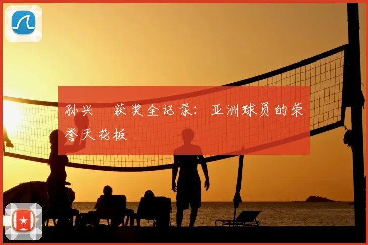 孙兴慜获奖全记录:亚洲球员的荣誉天花板